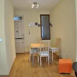 Labrador 14