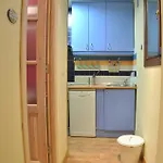 Labrador 14